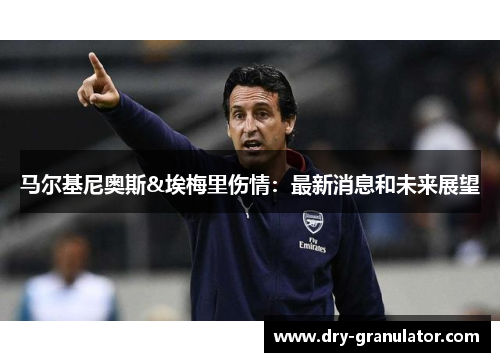 马尔基尼奥斯&埃梅里伤情：最新消息和未来展望