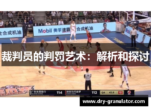裁判员的判罚艺术：解析和探讨