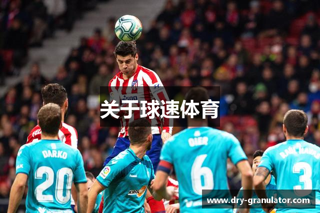关于球速体育